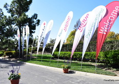 Way to the Ball Horticultural trial site. 